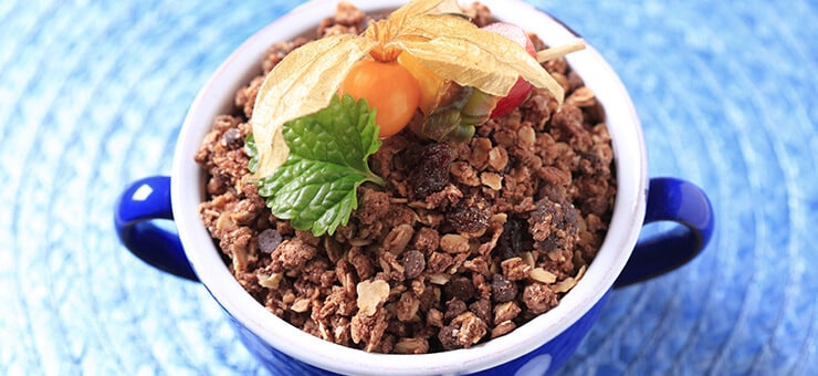 Avoiding That On-Sale Holiday Candy: Chocolate Lovers Protein Granola