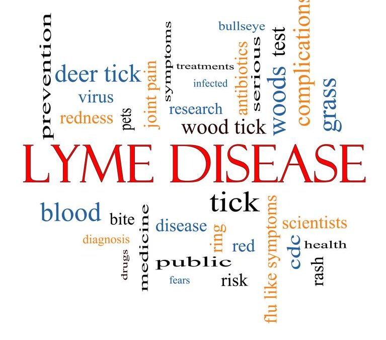 Alternative Treatment for Lyme Disease