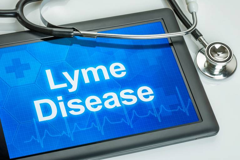 Understanding Lyme Disease and How to Protect Your Children during Outside Play