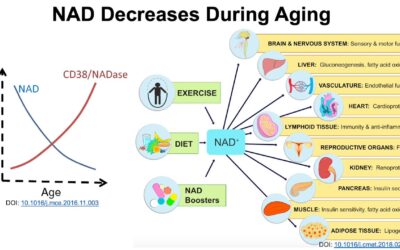 Should you take NAD Boosters?